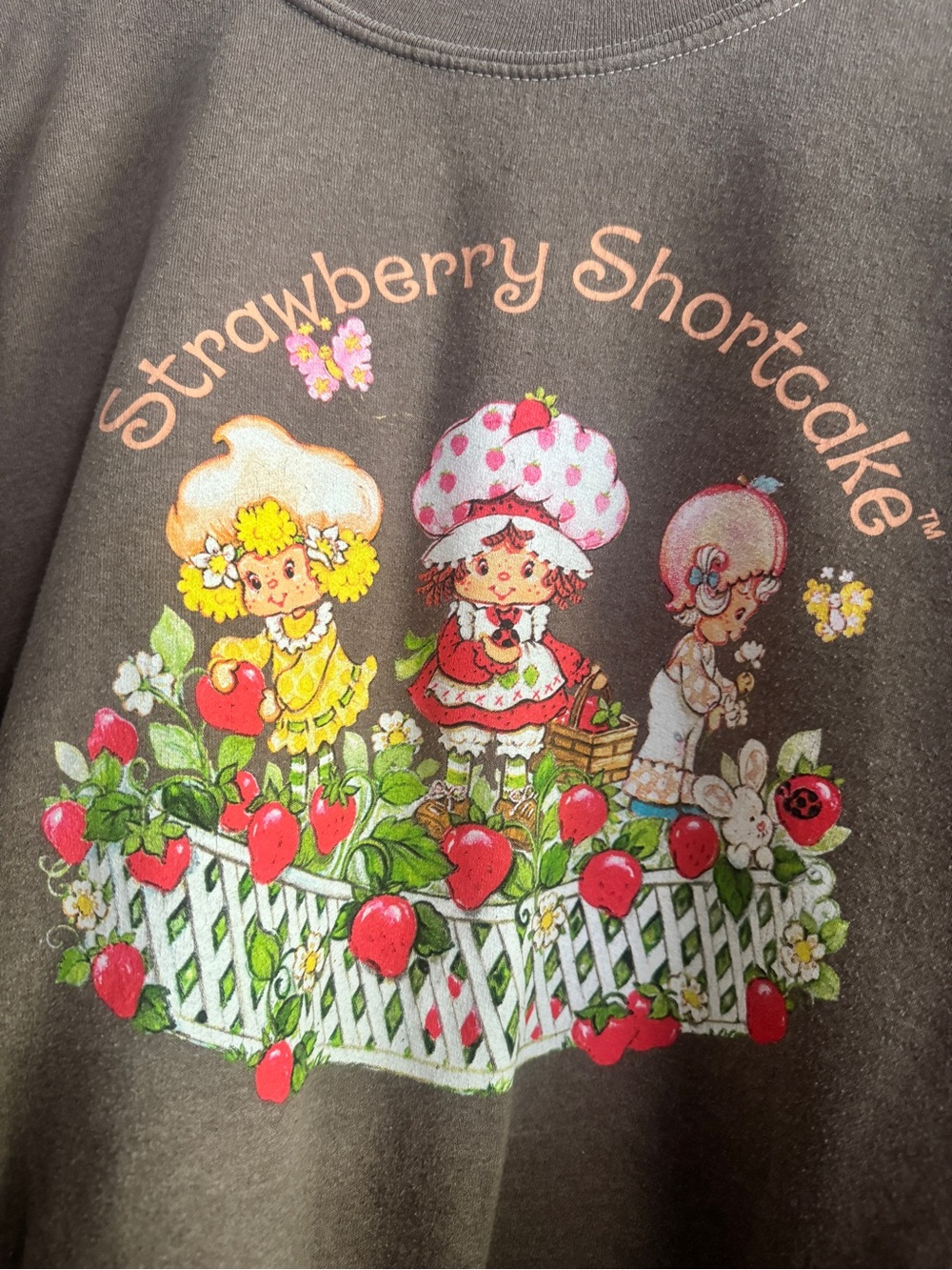 Strawberry Shortcake Oversized Brown Sweatshirt One Size OS Retro Graphic Cozy - Picture 7 of 7
